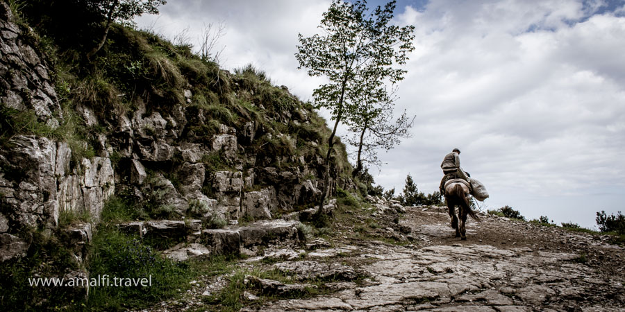 Der Weg der Götter, Amalfiküste, Italien