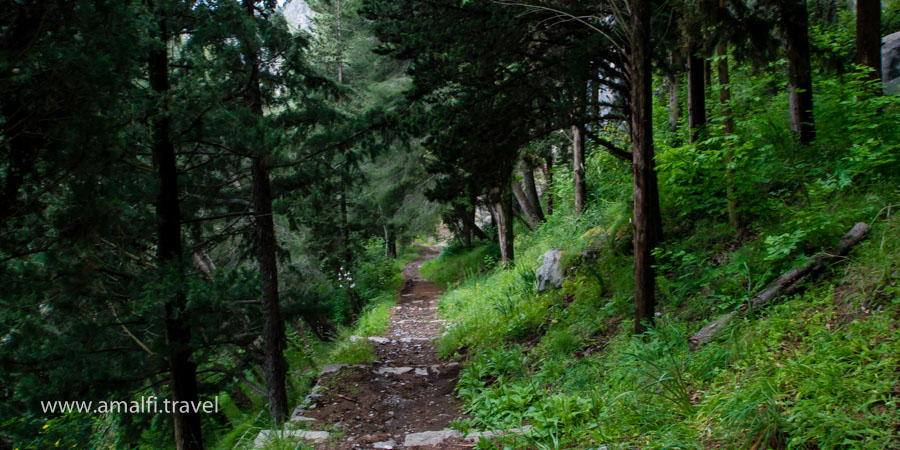 The path to the Tower of Ziro, Italy